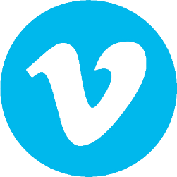 Liens Vinted Les robes lumineuses d'Élodie